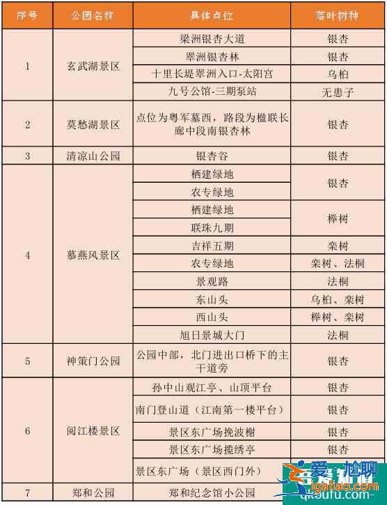 南京銀杏樹哪里最好看？