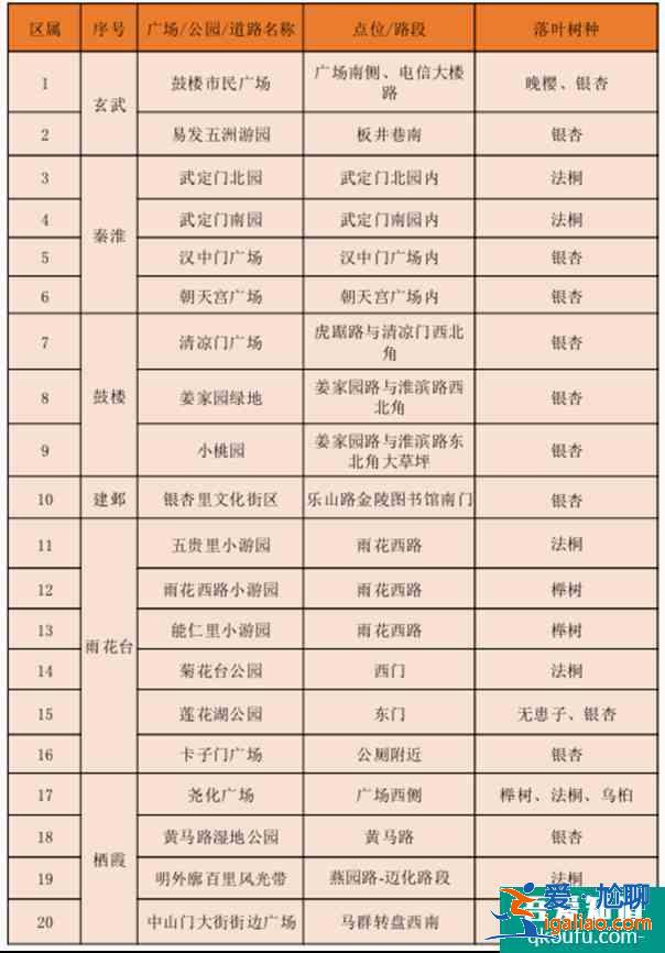 南京銀杏樹哪里最好看？