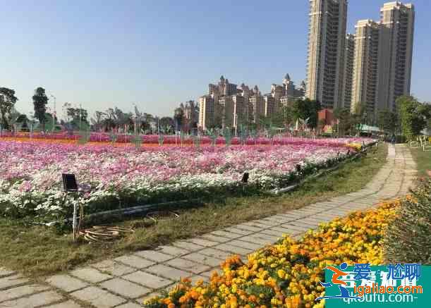 2020中國民間藝術節時間及活動詳情？