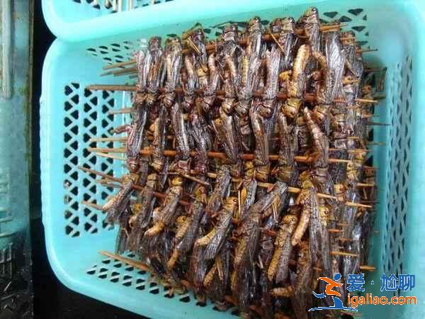 云南蟲子宴都有什么蟲，云南有哪些可以吃的蟲子，云南可以吃的蟲子？