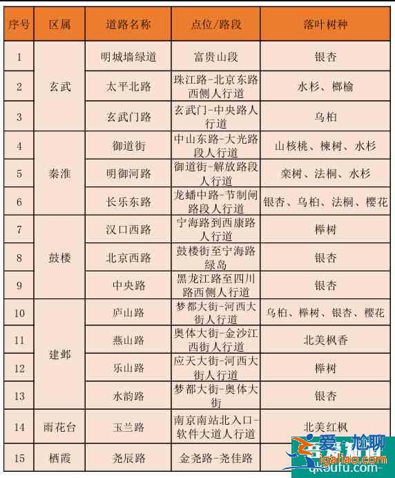 南京銀杏樹哪里最好看？