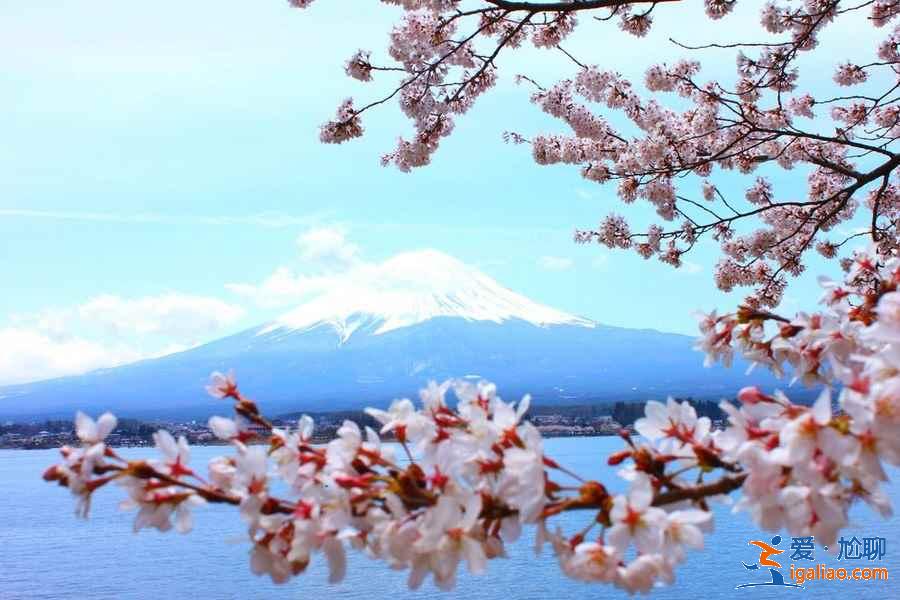 富士山在日本哪個城市，富士山在東京嗎？