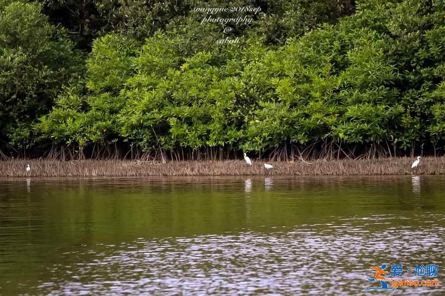 東馬來西亞必打卡景點推薦，東馬來西亞必去熱門景點攻略？
