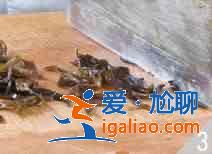 木樨肉怎么做？？