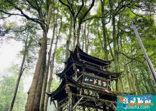 12月15日青城山都江堰免費開放日預約時間及指南？