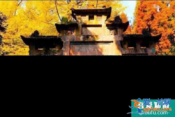 2020都江堰靈巖寺銀杏什么時候黃？