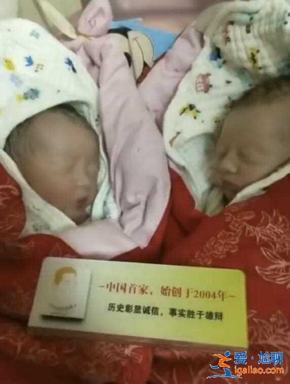 解說試管嬰兒能包生男孩嗎(專業誠信)? 解說試管嬰兒能包生男孩嗎(專業誠信)?