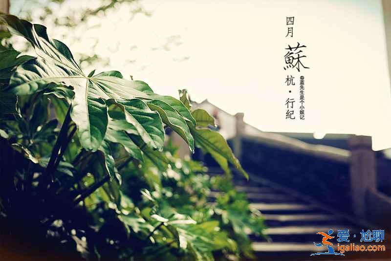 【蘇州二日游怎么玩】蘇州2日游最佳路線，蘇州兩日游攻略？