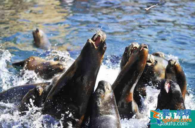 大連親子游必玩景點推薦? 大連親子游必玩景點推薦?