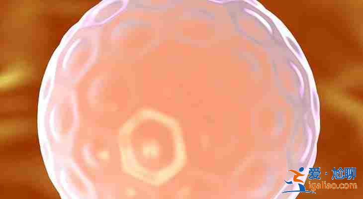 貴陽(yáng)代生小孩，香港助孕產(chǎn)子多少錢？