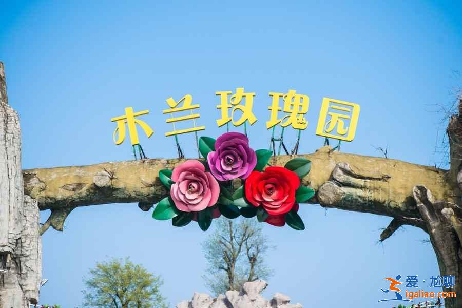 【武漢賞花】武漢賞花去哪里,武漢賞花全年花期表? 【武漢賞花】武漢賞花去哪里,武漢賞花全年花期表?