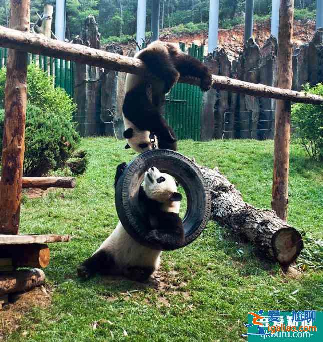 大連親子游必玩景點推薦? 大連親子游必玩景點推薦?