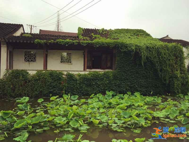 蘇州四大名園哪個好玩,蘇州四大名園哪個好? 蘇州四大名園哪個好玩,蘇州四大名園哪個好?