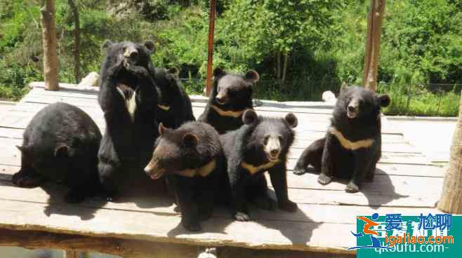 大連親子游必玩景點推薦? 大連親子游必玩景點推薦?