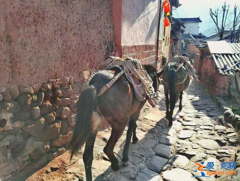 云南古鎮有哪些,云南有什么古鎮? 云南古鎮有哪些,云南有什么古鎮?