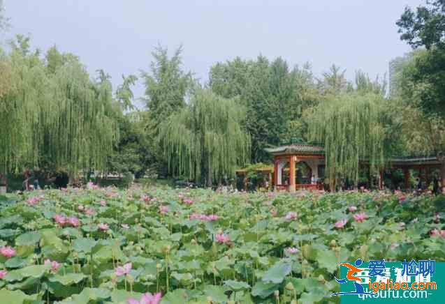 石家莊平安公園好玩嗎？