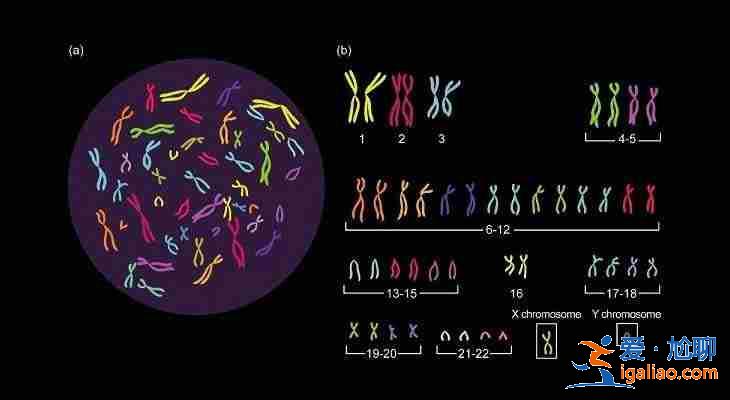 上海哪里做試管助孕比較有實力?_子嗣國際助孕中心怎么樣? 上海哪里做試管助孕比較有實力?_子嗣國際助孕中心怎么樣?