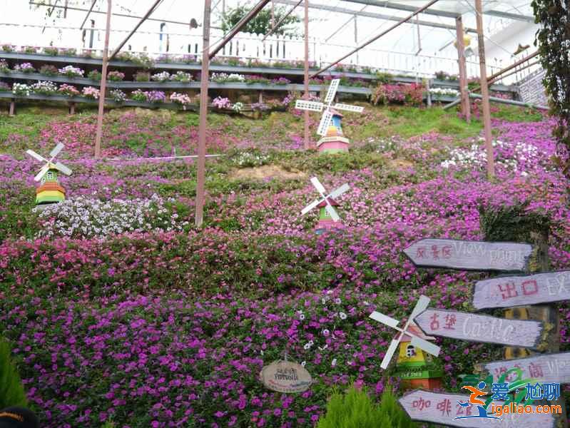 馬來西亞金馬倫高原兩日游怎么玩，馬來西亞金馬倫高原兩日游路線推薦？