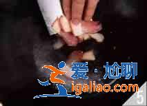蠶豆香芹炒臘肉的家常做法？