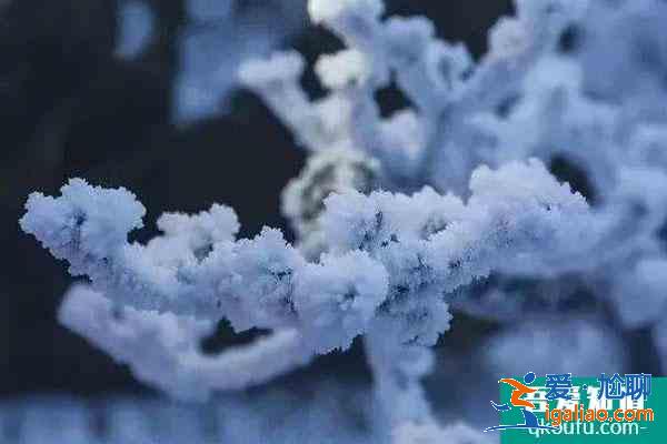 桂林貓兒山看霧松什么時(shí)候最佳？