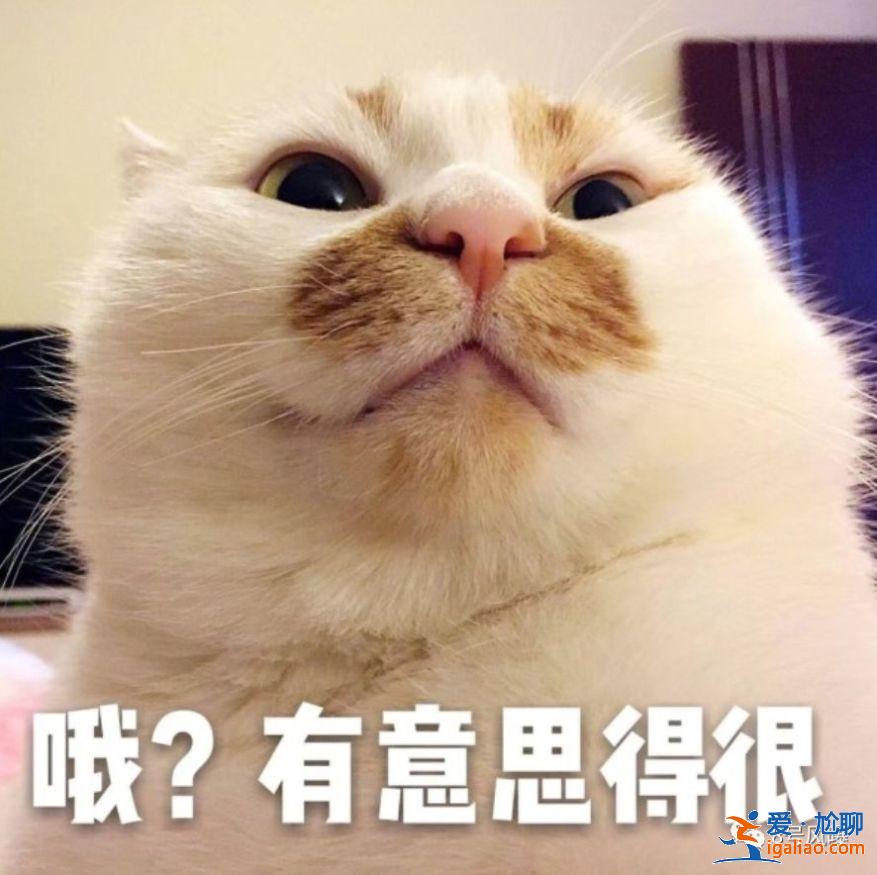 亞姐原來瓜這么多!當小三、賣淫、拍三級片,還輪番上演艷照門… 亞姐原來瓜這么多!當小三、賣淫、拍三級片,還輪番上演艷照門…