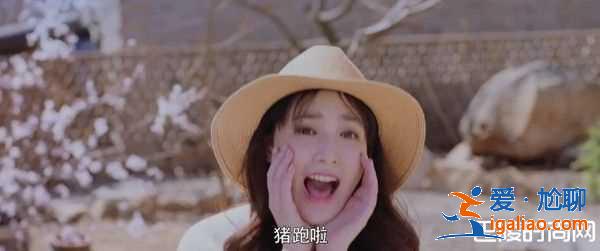 《東宮》彩蛋大結(jié)局 忘川夫婦真豬跑啦？