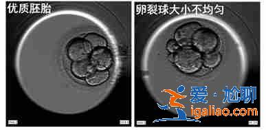 濟南代生寶寶價格？