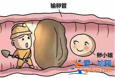 南京代生孩子價格_從此世界也增添一份色彩？