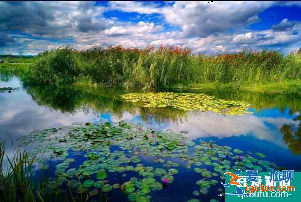 昆明滇池濕地最佳觀賞期什么時候 昆明滇池濕地在哪? 昆明滇池濕地最佳觀賞期什么時候 昆明滇池濕地在哪?