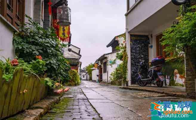 朱家角古鎮旅游區攻略？