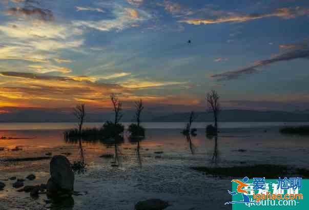 昆明滇池濕地最佳觀賞期什么時候 昆明滇池濕地在哪? 昆明滇池濕地最佳觀賞期什么時候 昆明滇池濕地在哪?