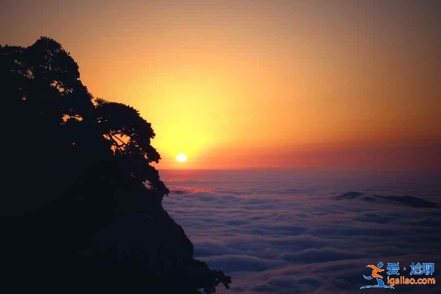 黃山景區前山和后山的旅游線路、沿途主要景色？