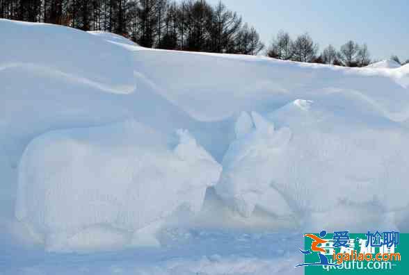 2020長春冰雪節景區活動時間及優惠政策？