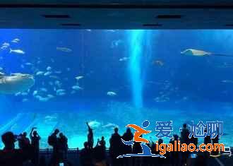 沖繩有什么好玩的，沖繩哪里好玩，沖繩必游景點推薦？