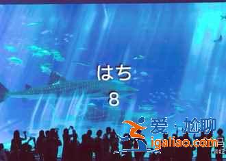 沖繩有什么好玩的，沖繩哪里好玩，沖繩必游景點推薦？