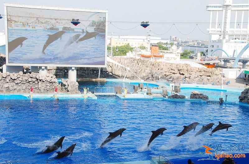 名古屋有哪些熱門景點(diǎn)，名古屋必游景點(diǎn)推薦，名古屋旅游攻略？