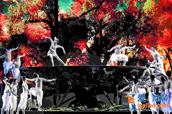 《巔峰之夜》新疆建設兵團雜技團《候鳥的呼喚》 《巔峰之夜》新疆建設兵團雜技團《候鳥的呼喚》