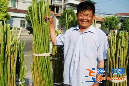 中國(guó)九大最臭美食 你吃過(guò)幾種？？