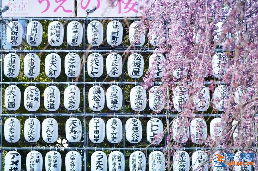 東京上野公園怎么玩，東京上野公園景點，東京上野公園攻略？