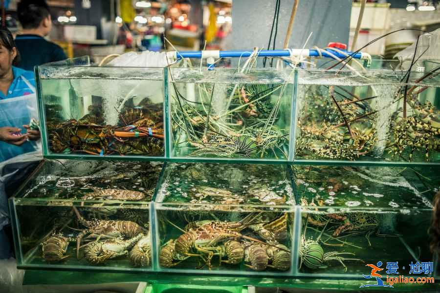 三亞海鮮第一市場在哪里，三亞第一海鮮市場地址？