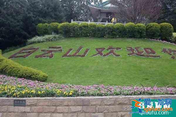 2021廣州白云山元旦鳳仙花主題花展時(shí)間? 2021廣州白云山元旦鳳仙花主題花展時(shí)間?