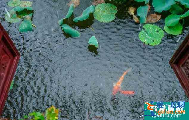 南潯古鎮怎么樣 2021年南潯古鎮游玩指南? 南潯古鎮怎么樣 2021年南潯古鎮游玩指南?