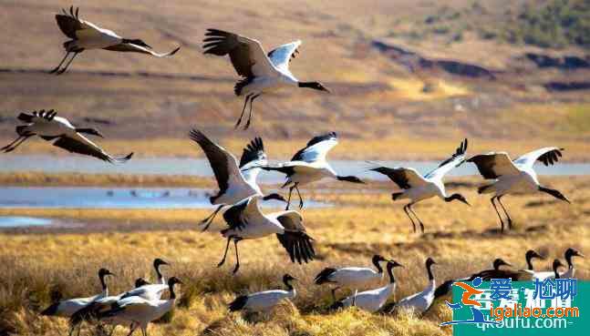 普達措國家公園門票2021? 普達措國家公園門票2021?