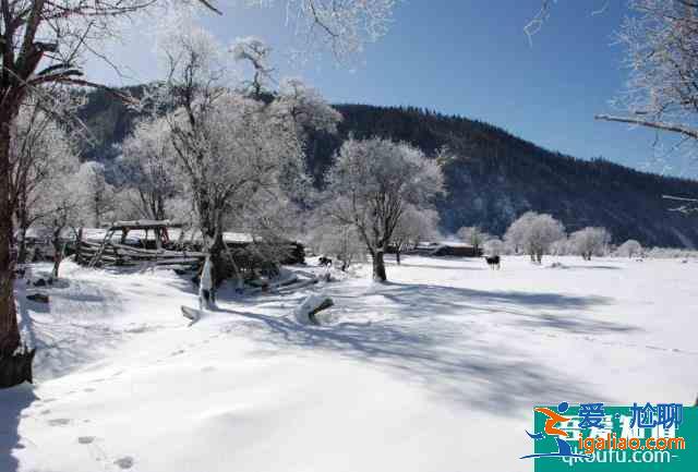 普達措國家公園門票2021? 普達措國家公園門票2021?