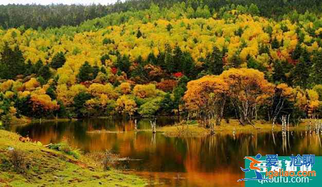 普達措國家公園門票2021? 普達措國家公園門票2021?