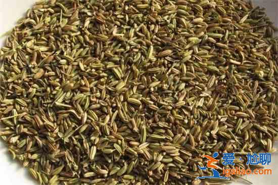 茴香籽怎么吃？