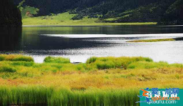 普達措國家公園門票2021? 普達措國家公園門票2021?