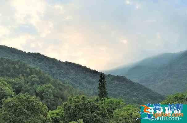 受疫情影響寧波北侖九峰山暫停對外開放2022年1月？