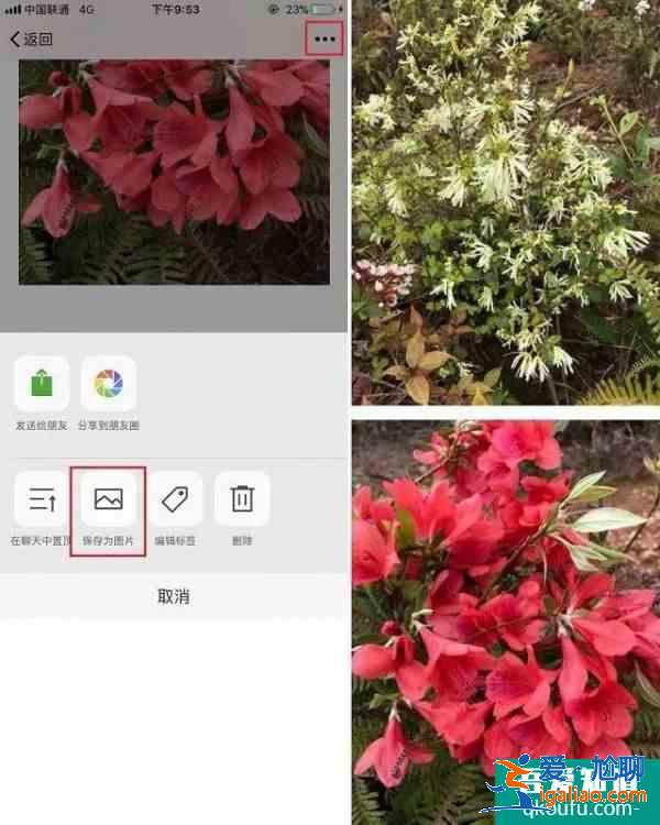 iphone怎么截長(zhǎng)圖 蘋果手機(jī)怎么截長(zhǎng)圖？