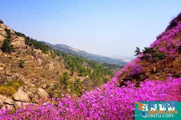 2021青島門票價格正常恢復景區名單？